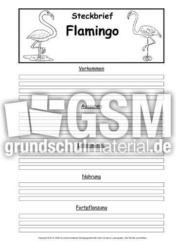 Steckbriefvorlage-Flamingo.pdf